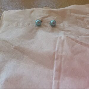 Elegant Blue Stud Earrings